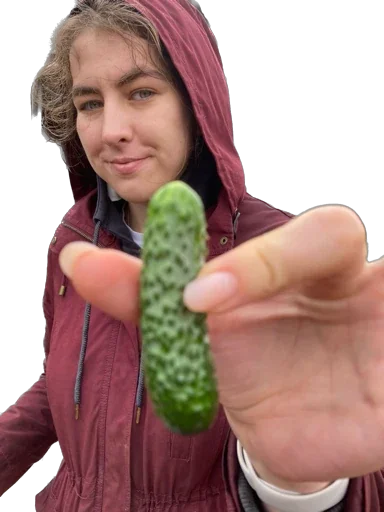 Стикер vidishbashnu - 1