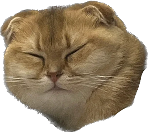 Sticker vidishbashnu - 1