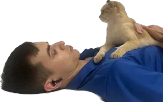 Стикер Видишь башню? - 9