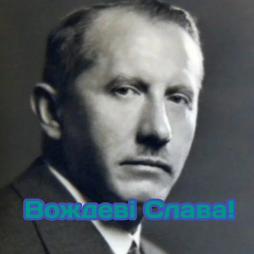 human face portrait forehead