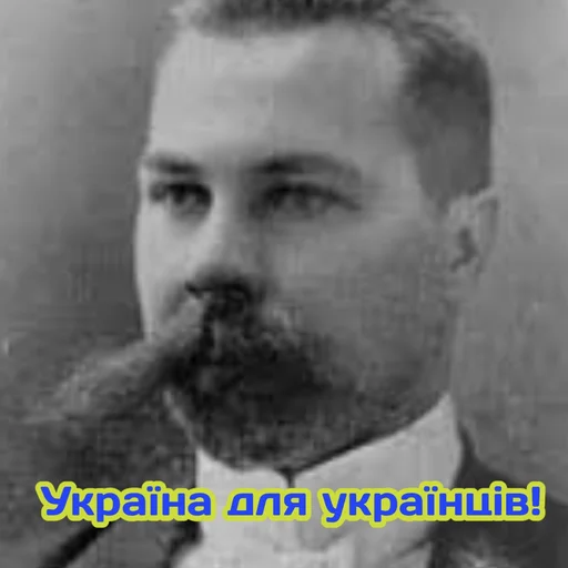 text human face human beard