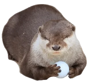 Стикер @vidromemi Часть 3 - ВыдроПокалипсис - 11