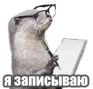 Стикер @vidromemi Часть 3 - ВыдроПокалипсис - 7