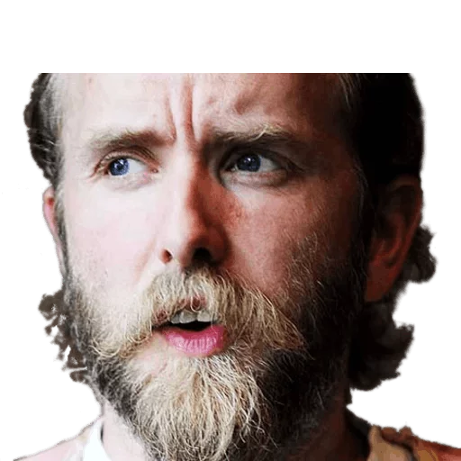 human beard facial hair human face