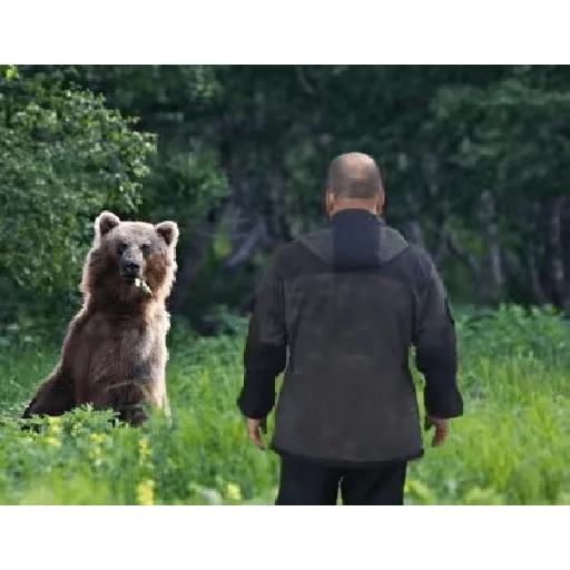 Sticker viksobejslwkbd - 1