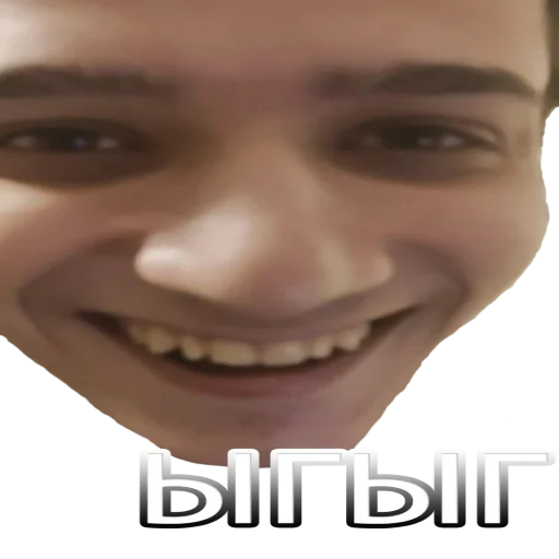 Sticker vilnabratva - 1