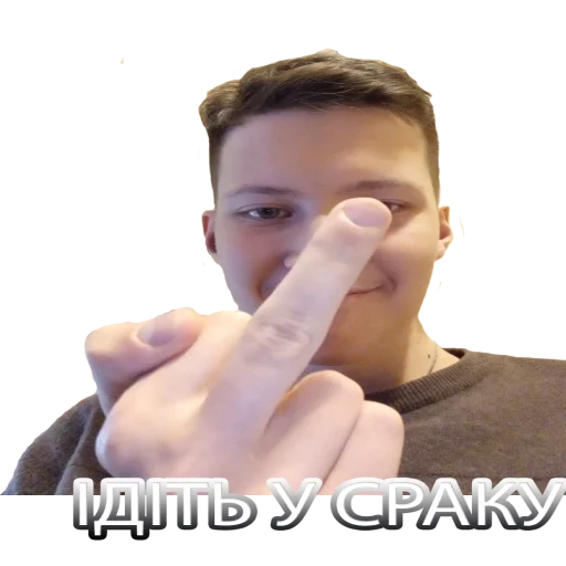 Sticker vilnabratva - 1