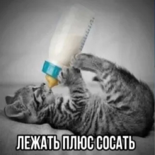 Стикер VIMEWORLD TESTERS - 3