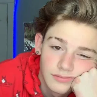 Стикер Vincent As Payton Moormeier - 11