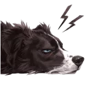 Sticker Vin the Bordeaux Collie - 5