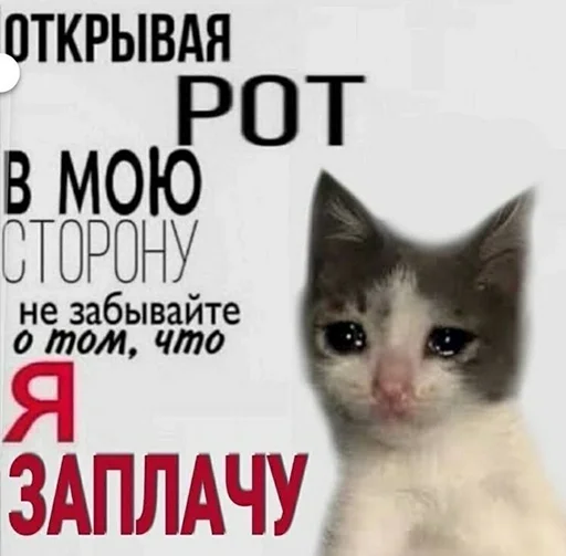 Sticker vinigretto - 1