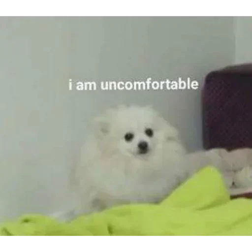 Sticker vinigretto - 1