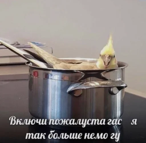 Стикер vinigretto - 1