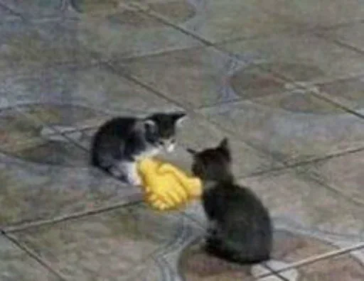 Sticker vinigretto - 1