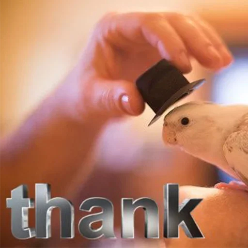 Sticker vinigretto - 1