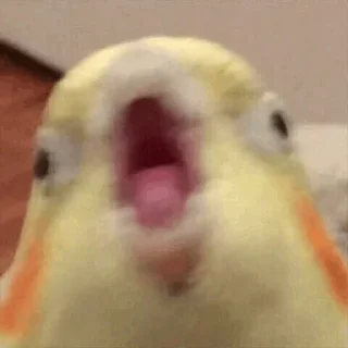 Sticker на всі випадки життя - 4