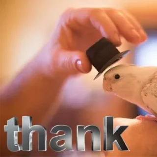 Sticker на всі випадки життя - 0