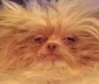 Sticker на всі випадки життя - 5