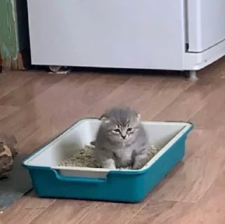 Sticker на всі випадки життя - 8