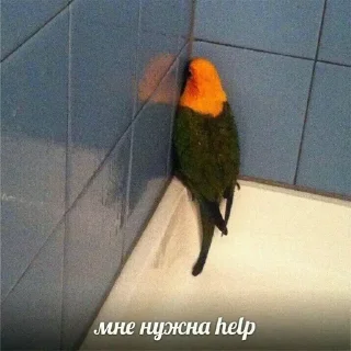 Sticker на всі випадки життя - 1