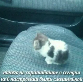 Sticker на всі випадки життя - 7