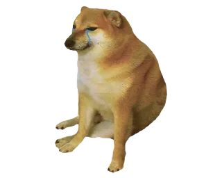 Sticker на всі випадки життя - 11