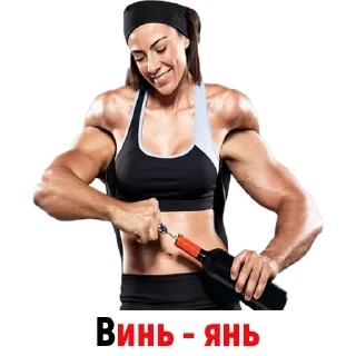 Sticker Vino @vinoupbot - 11