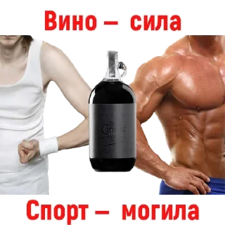 Sticker Vino @vinoupbot - 3