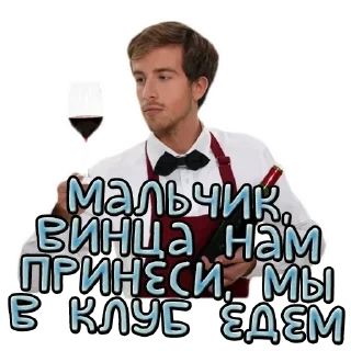 Sticker Vino @vinoupbot - 0