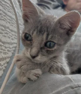 Sticker Сыночка @MoiStikiBot - 6