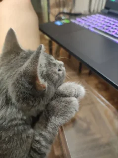 Sticker Сыночка @MoiStikiBot - 4