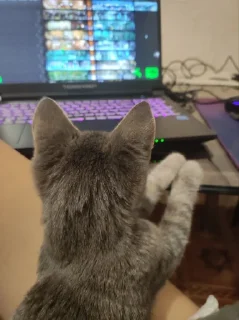 Sticker Сыночка @MoiStikiBot - 7