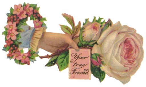 flower rose floral design