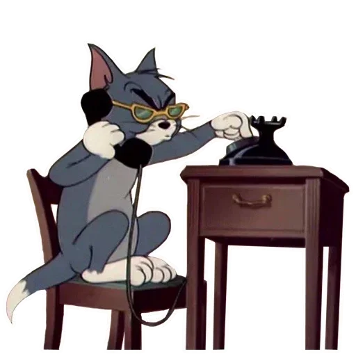 cat furniture mammal