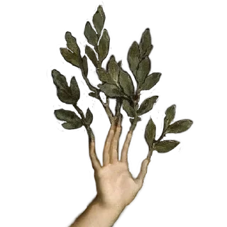 Sticker viriditas_by_@plantphilosophy - 9