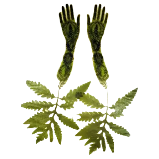 Sticker viriditas_by_@plantphilosophy - 1