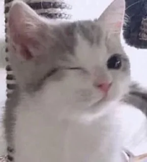 Стикер Котята от Бель - 11