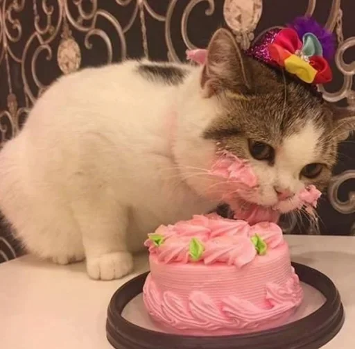 Стикер VirusCheck StickerPack - 6