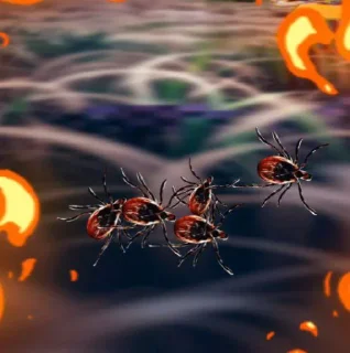 Стикер @TgEmodziBot вирус/the virus game ᕦ( ͡° ͜ʖ ͡°)ᕤ - 6