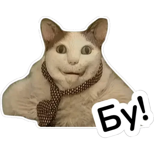 Viscers by @mr_viscers - 