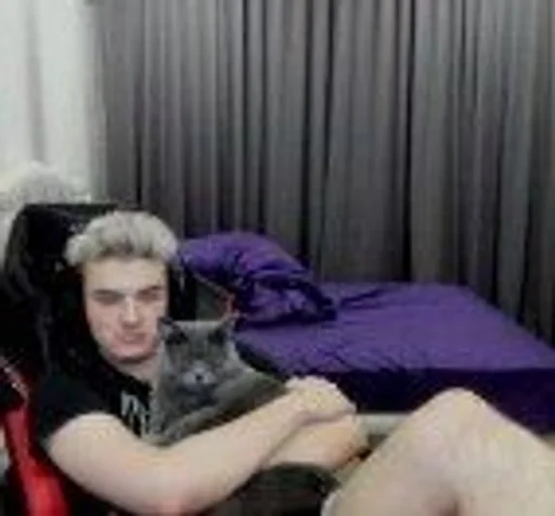 Человек комнатный кошка