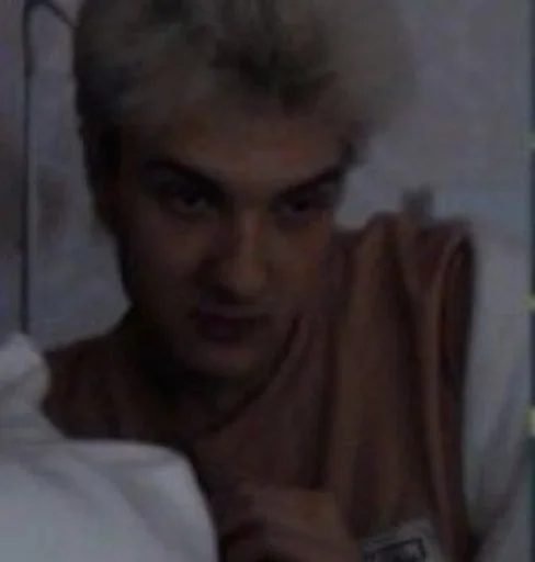 Человек человеческое лицо комнатный