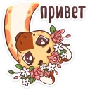 Стикер Кокосик :: @mosticks - 11