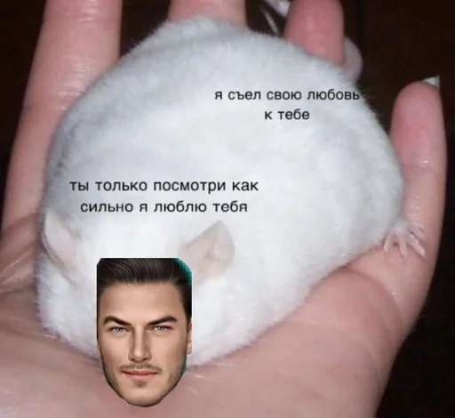 Sticker влад :: @fStikBot - 9