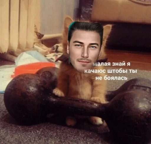 Sticker влад :: @fStikBot - 4