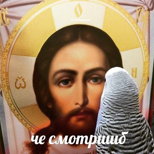 human face person indoor