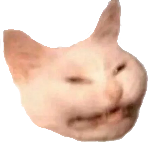 animal creativity art