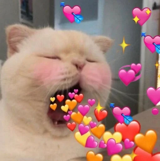 кошка млекопитающее кошки малого и среднего размера