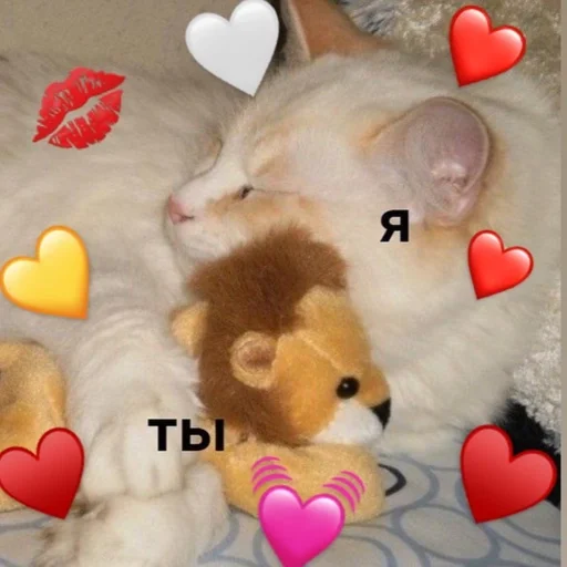 кошка игрушка комнатный