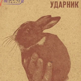 Стикер «В ЛЕСАХ» @vlesah - 6